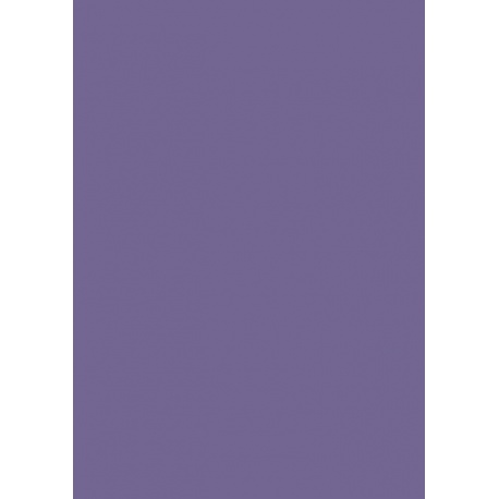 Carton couleur 50x70 300gEAN violet