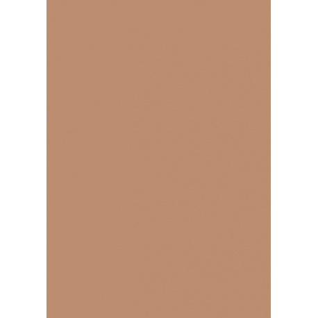 Carton couleur 50x70 300gEAN terrac