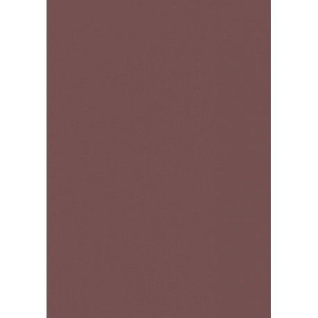 Carton couleur 50x70 300gEAN marron