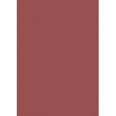 Carton couleur 50x70 300gEAN rouill