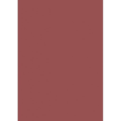 Carton couleur 50x70 300gEAN rouill