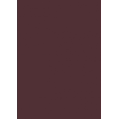 Carton couleur 50x70 300gEAN mar fo