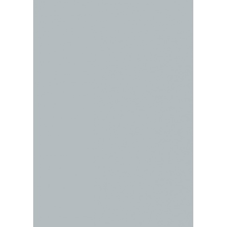 Carton couleur 50x70 300gEAN gri cl