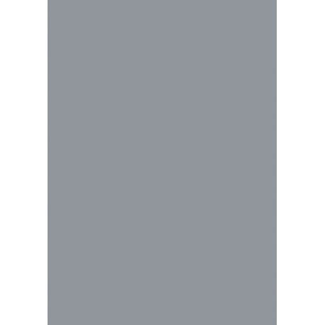 Carton couleur 50x70 300gEAN gri fo