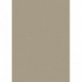 Carton couleur 50x70 300gEAN taupe