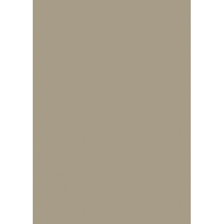 Carton couleur 50x70 300gEAN taupe