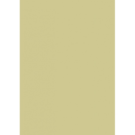 Carton couleur 50x70 300gEAN or mat