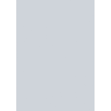 Carton couleur 50x70 300gEANarg mat