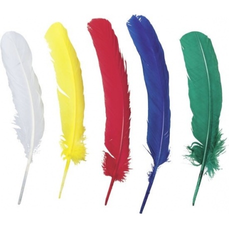 Plume indien 17-19cm 50pces assort.