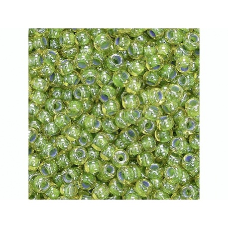 Rocaille Bohè.2,5mm17g boîte ver ti