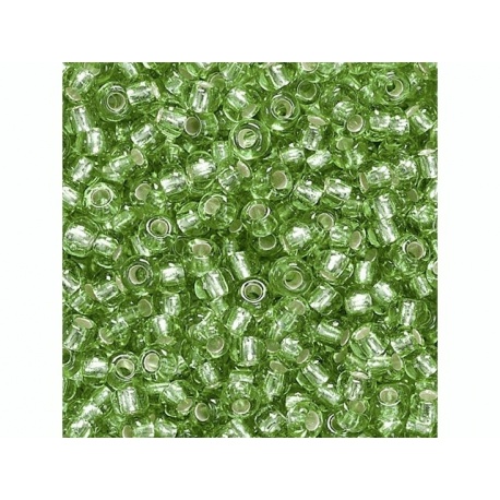 Rocaille Bohè.2,5mm17g boîte ver