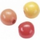 Perle bois 10mm jau/rou mél.50pc