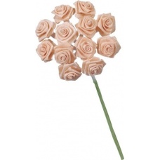 Rose Dior 10cm abricot
