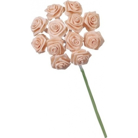 Rose Dior 10cm abricot
