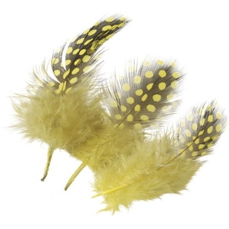 Plumes pintade 5cm jaune citr.20pc