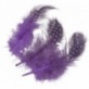 Plumes pintade 5cm orchid. 20pc