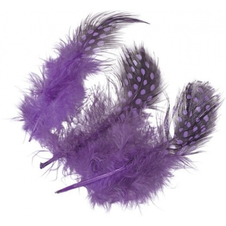 Plumes pintade 5cm orchid. 20pc