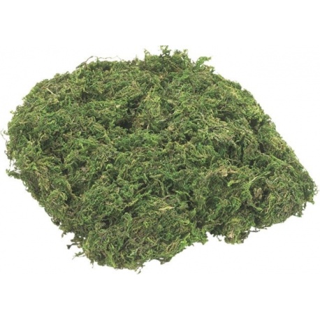 Déco mousse 25g ver