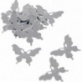 Déco miroir Papillon 4cm 12pc